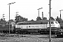 MaK 2000042 - DB "216 052-1"
18.06.1978 - Gelsenkirchen-Bismarck, Bahnbetriebswerk
Michael Hafenrichter