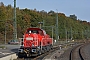 Voith L04-18030 - DB Cargo "265 029-9"
01.11.2016 - Stolberg (Rheinland)
Werner Schwan